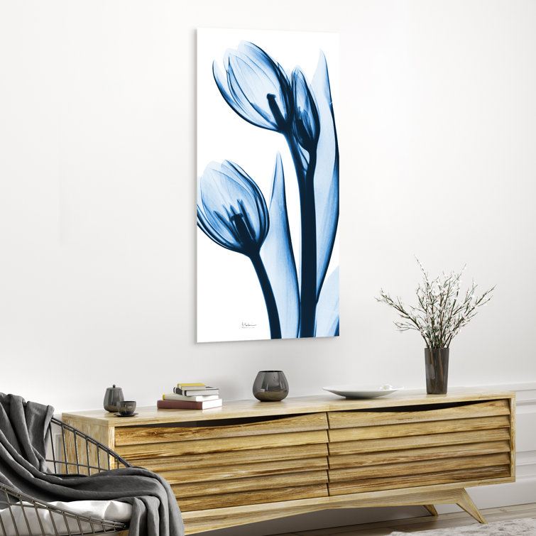Ebern Designs Two Blue Tulips by Albert Koetsier - Unframed Photograph